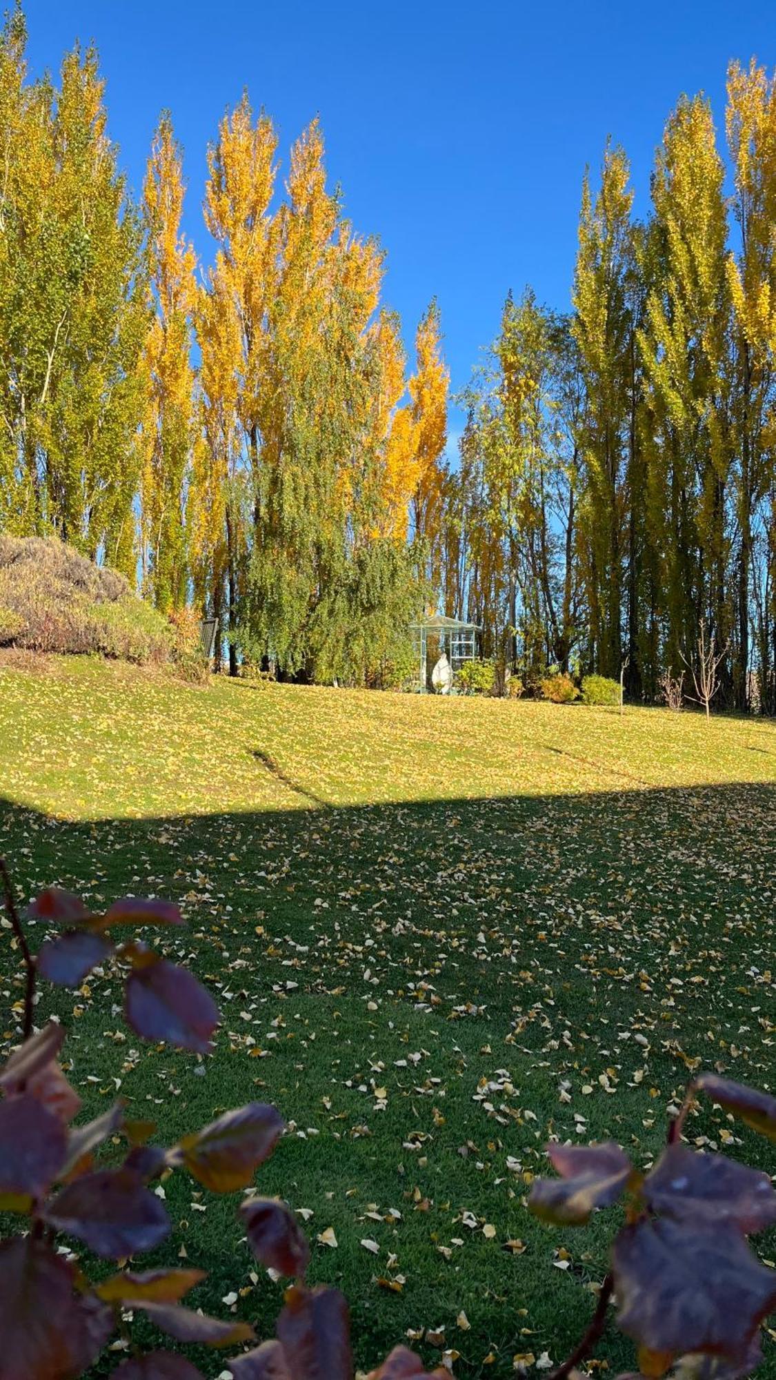 Los Ponchos Hotel El Calafate Kültér fotó